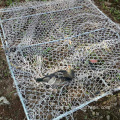 humane hunting mesh sparrow leg snare traps